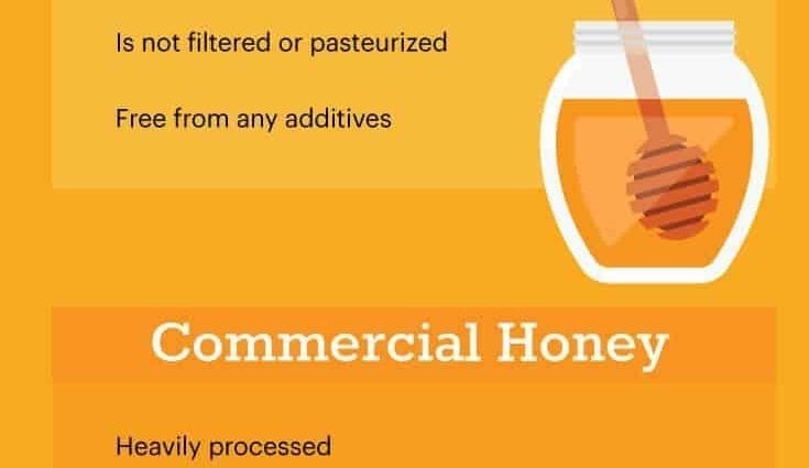 May honey: benefits, features and how to recognize poor quality