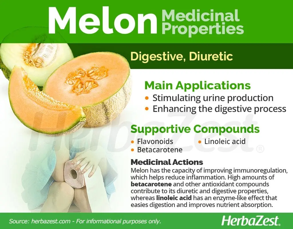 Melon medicinal properties