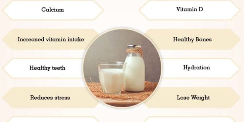 Milk: benefits and harms