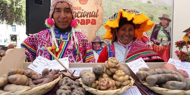 Hari Kentang Nasional di Peru