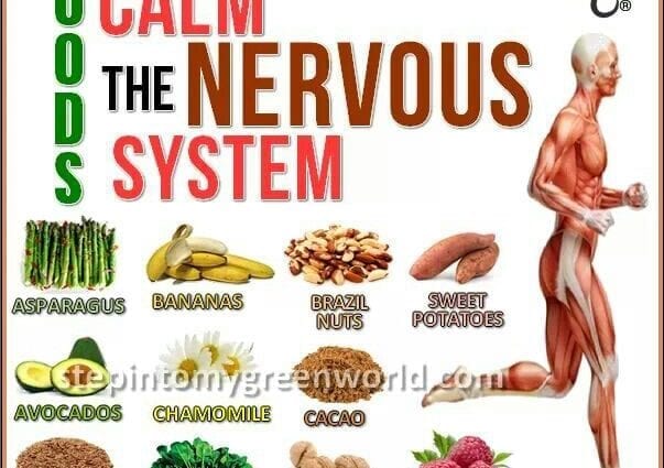 Նյարդը հանգստացնող սնունդ