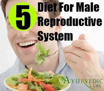 Nutrition for the male reproductive system