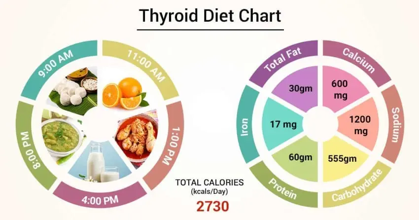 List diets for organs