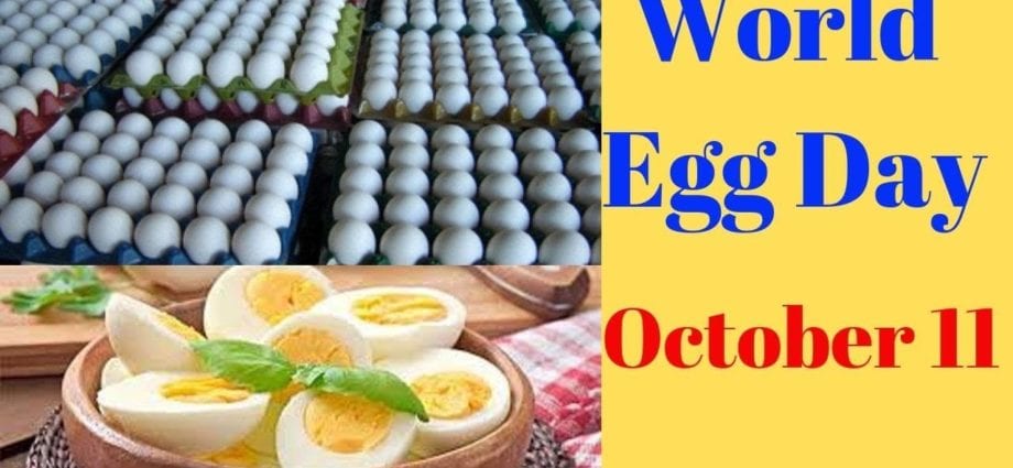 October 11 &#8211; Egg Day: how are they useful and harmful?