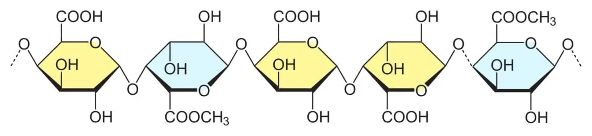 Pektin substances