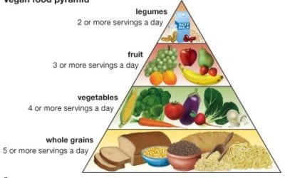 Principles of Vegetarianism