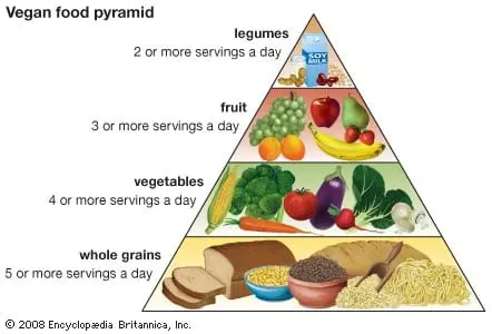 Principles of Vegetarianism