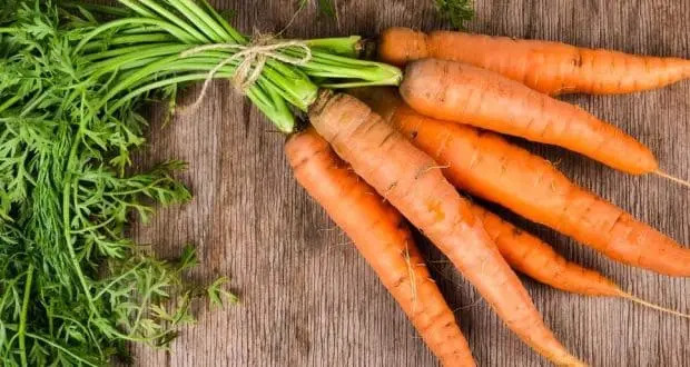 Raw food and carrots