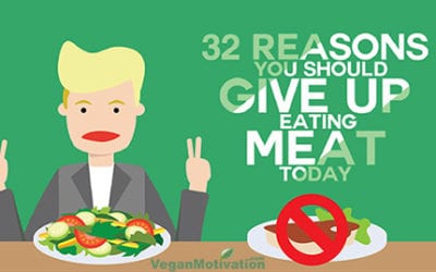 Reasons to give up meat