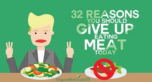 Reasons to give up meat