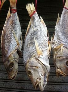 Salting meat and fish