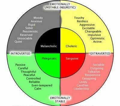 Sanguine people &#8211; detox, choleric people &#8211; proteins: how to choose a diet by temperament