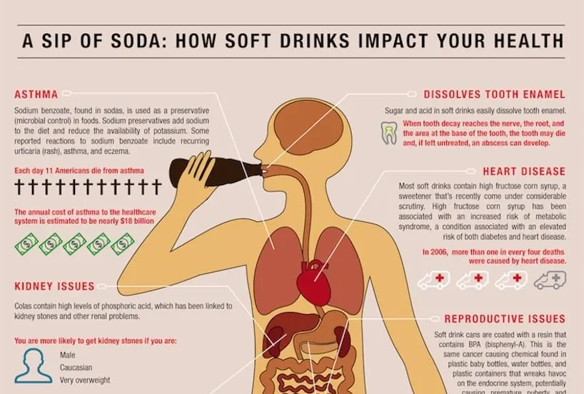 Sip of soda: how soft drinks affect your health