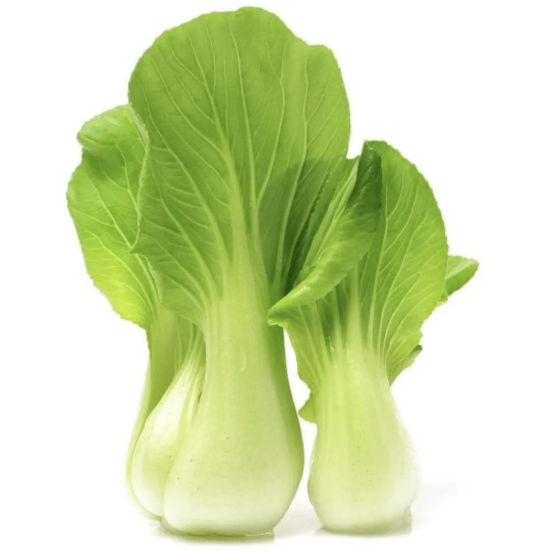 Pak-choy cabbage