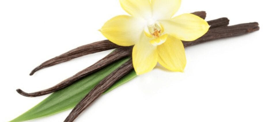Vanilla – description of the spice.香草–香料的描述。 Health benefits and harms健康的好处和危害