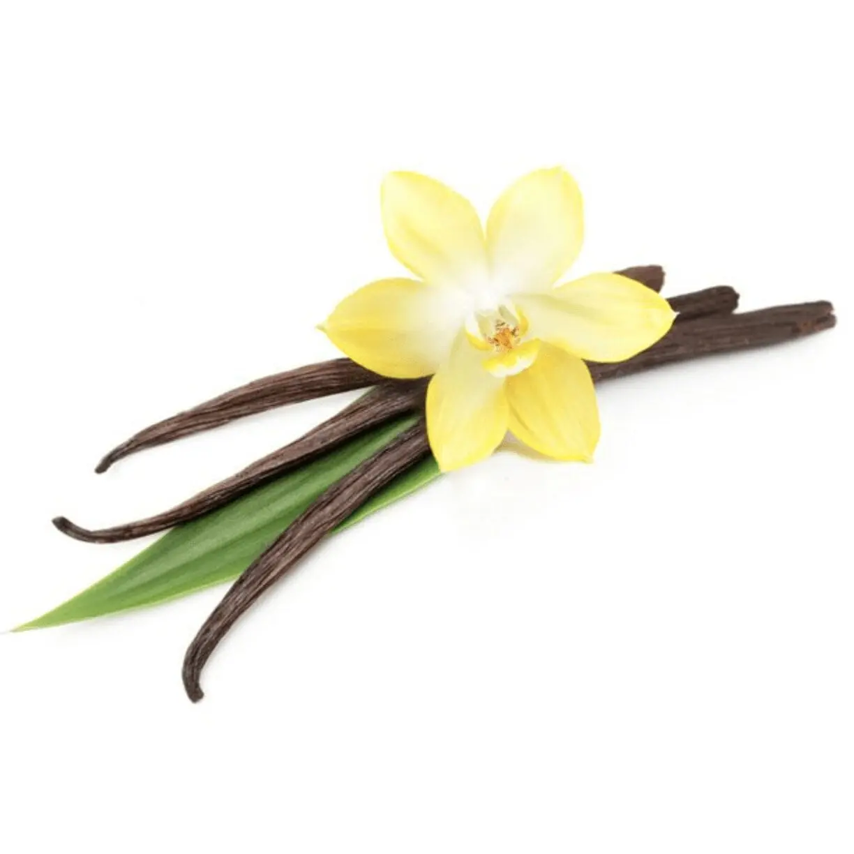 Vanilla &#8211; description of the spice. Health benefits and harms