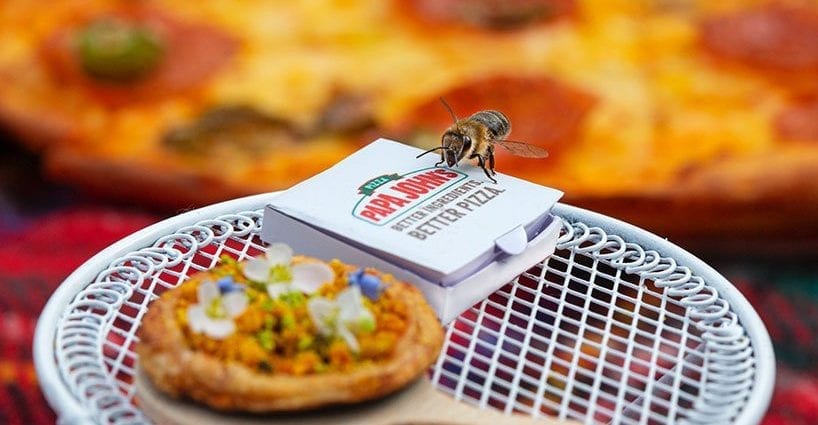 SOS pizzas for bees prepared in the USA