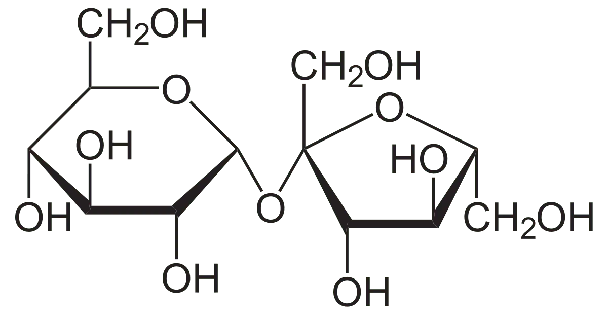 sucrose