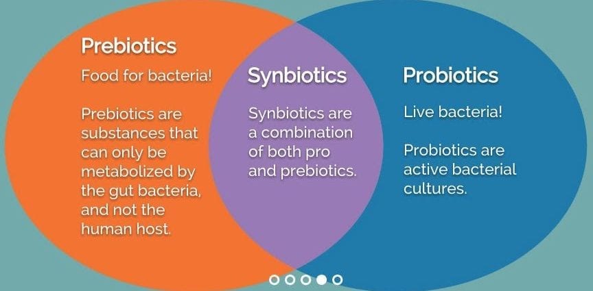Synbiotics