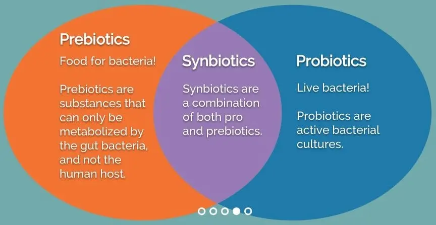 Synbiotics