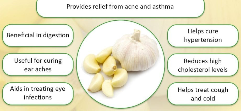 The beneficial properties of garlic