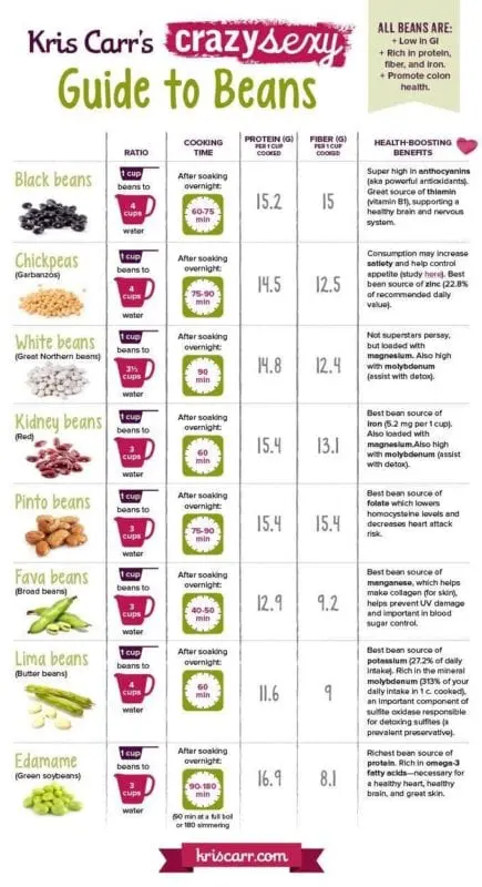 The proportions of beans and water