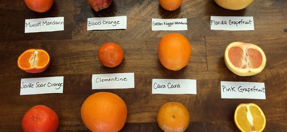 The sweetest tangerine variety in the world was bred