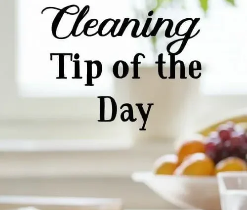 Tip of the day: wipe your face with ice in the morning