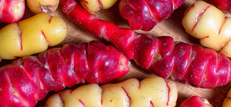 TOP 10 unusually colored vegetables