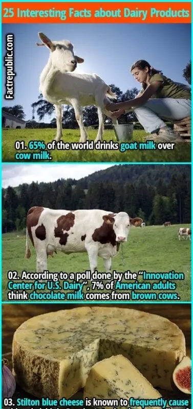 TOP-12 interesting facts about dairy products