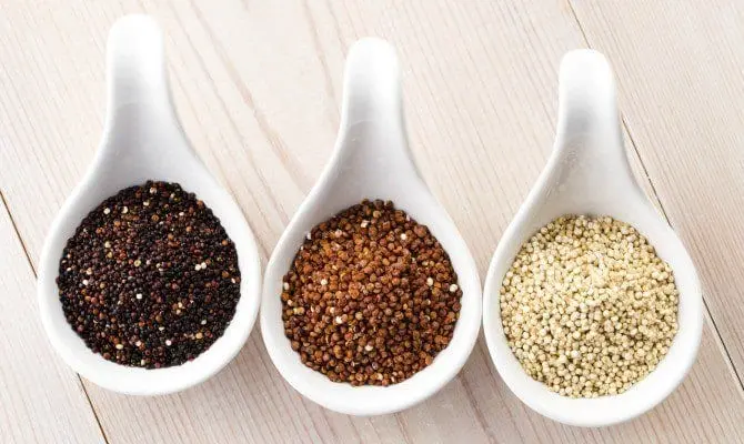 TOP 15 facts about quinoa