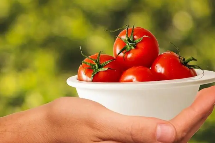 TOP 5 dishes of bruised tomatoes