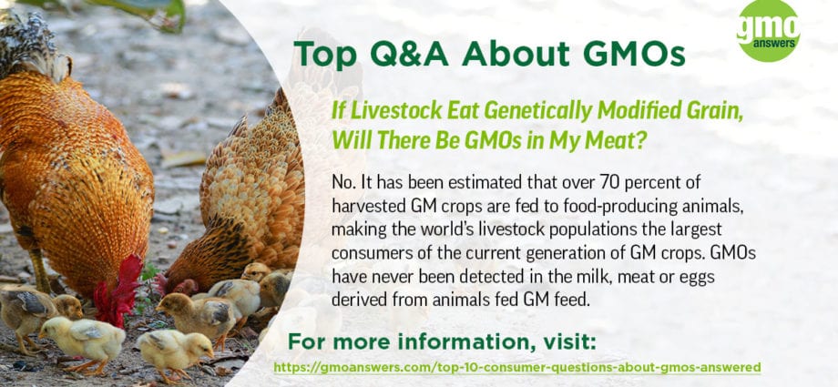 TOP-7 facts about GMOs