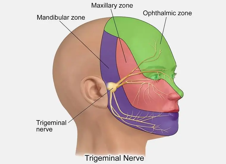 Nutrition for neuralgia