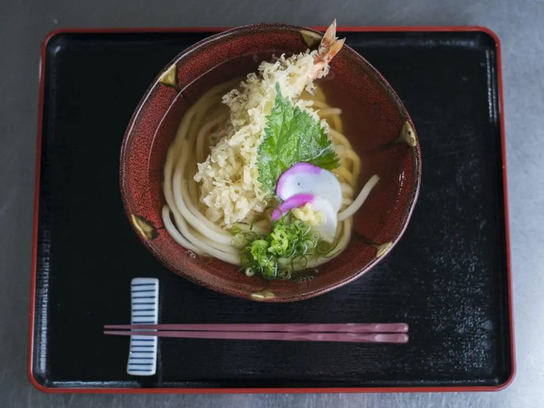 Udon noodle hotel opens in Japan