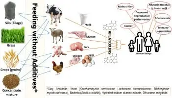 Useful products for toxicosis