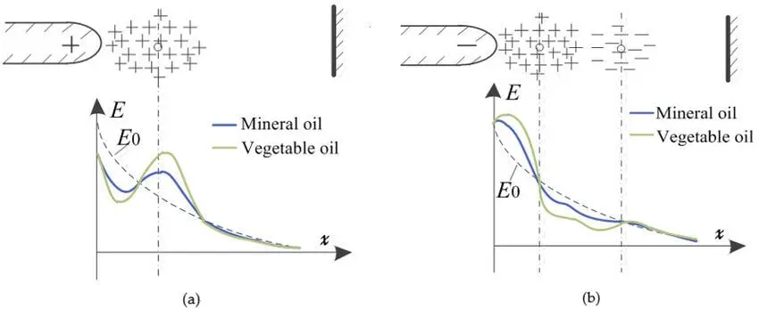 Vegetable oil has a positive effect on health