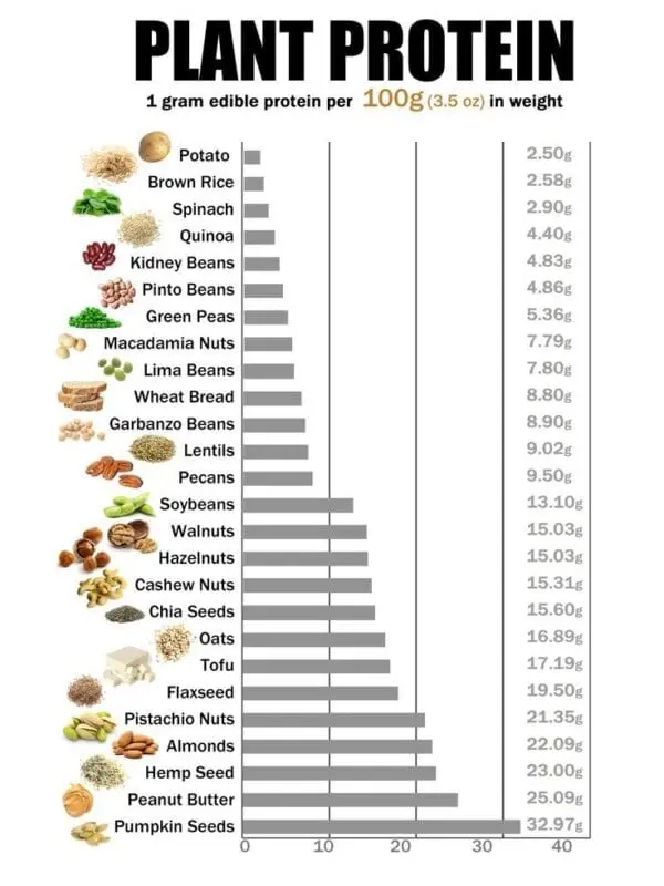 Vegetable protein table