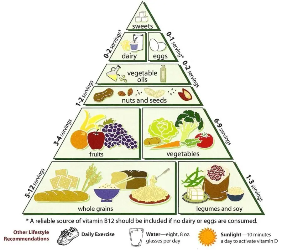 Vegetarian food pyramid