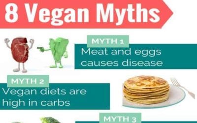 Vegetarian myths