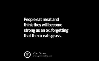 Vegetarian quotes
