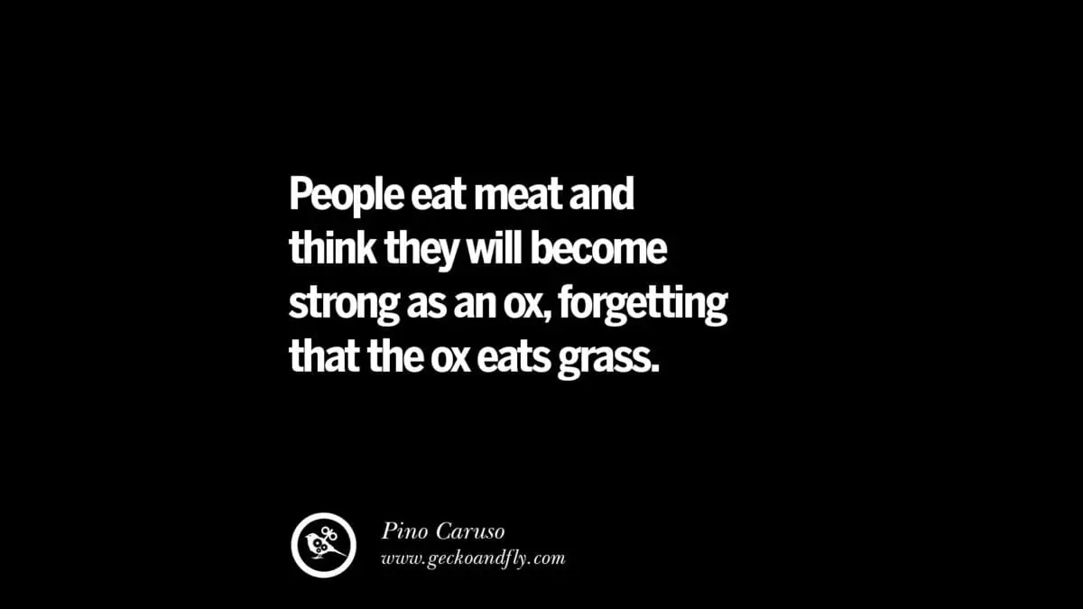 Vegetarian quotes