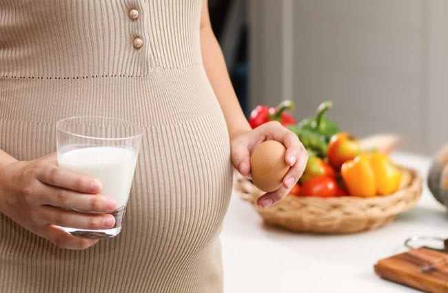 Vegetarianism and pregnancy