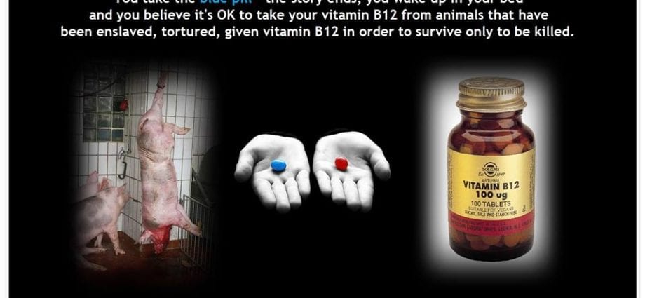 Vitamin B12: gaskiya da labari