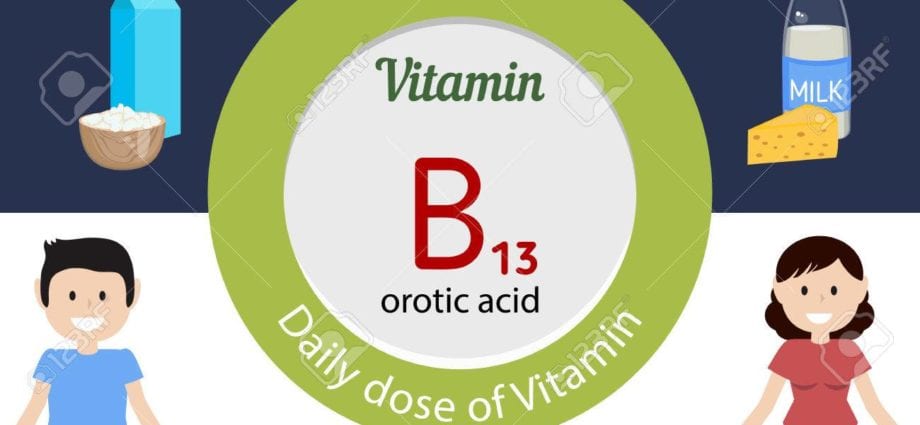 Вітамін B13