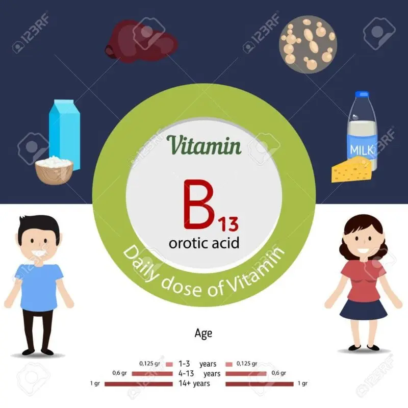 Vitamin B13