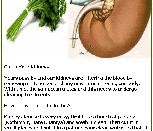 We clean the kidneys