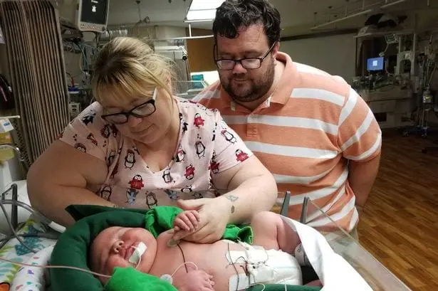 Weighing from a baby: the largest avocado in the world is grown