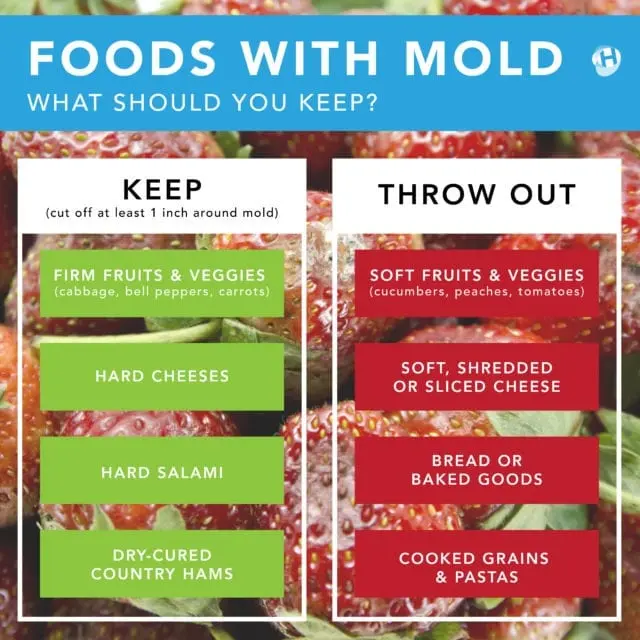 What foods with mold can you eat?