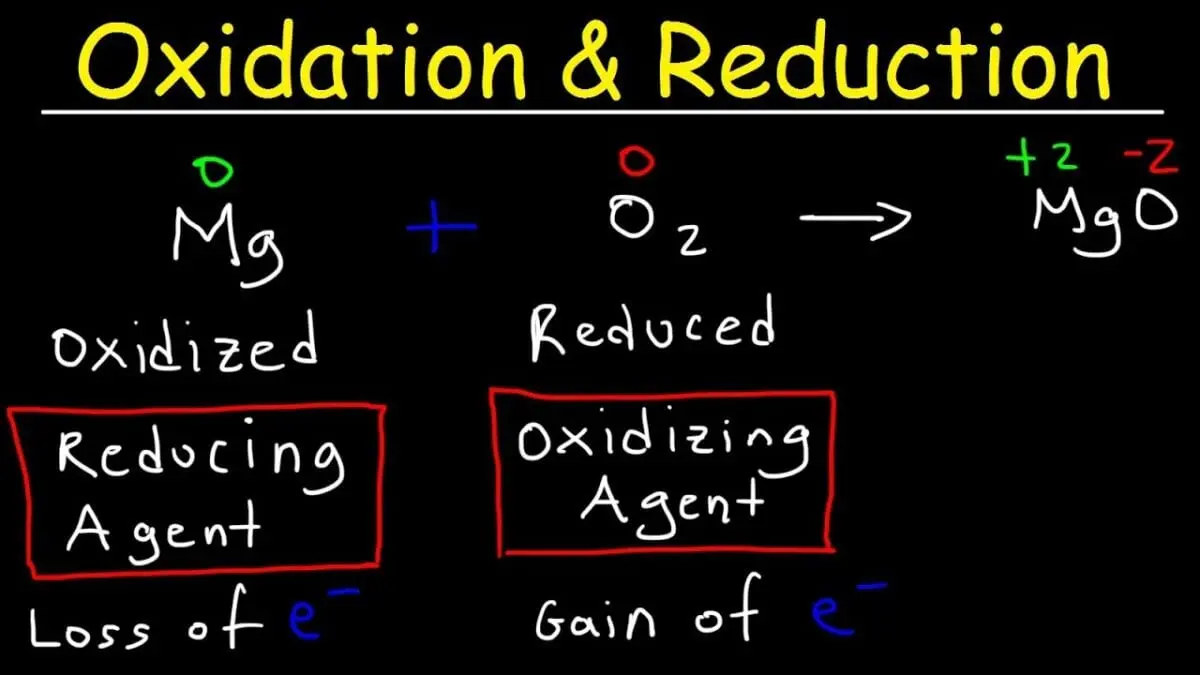 What is oxidation and how to protect your cells from it